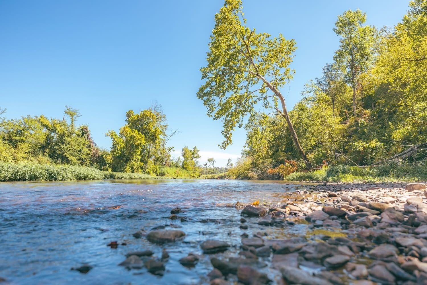 A river with clear water, surrounded by trees and rocks.
