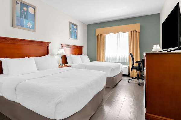 Premium bedding, down comforters, desk, laptop workspace