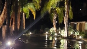 Une vue nocturne d’un élément décoratif aquatique agrémenté de palmiers et d’un éclairage d’ambiance.