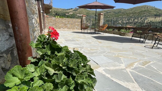 A stone patio with outdoor furniture and a potted plant. - CASALE CONTI (Castellabate)