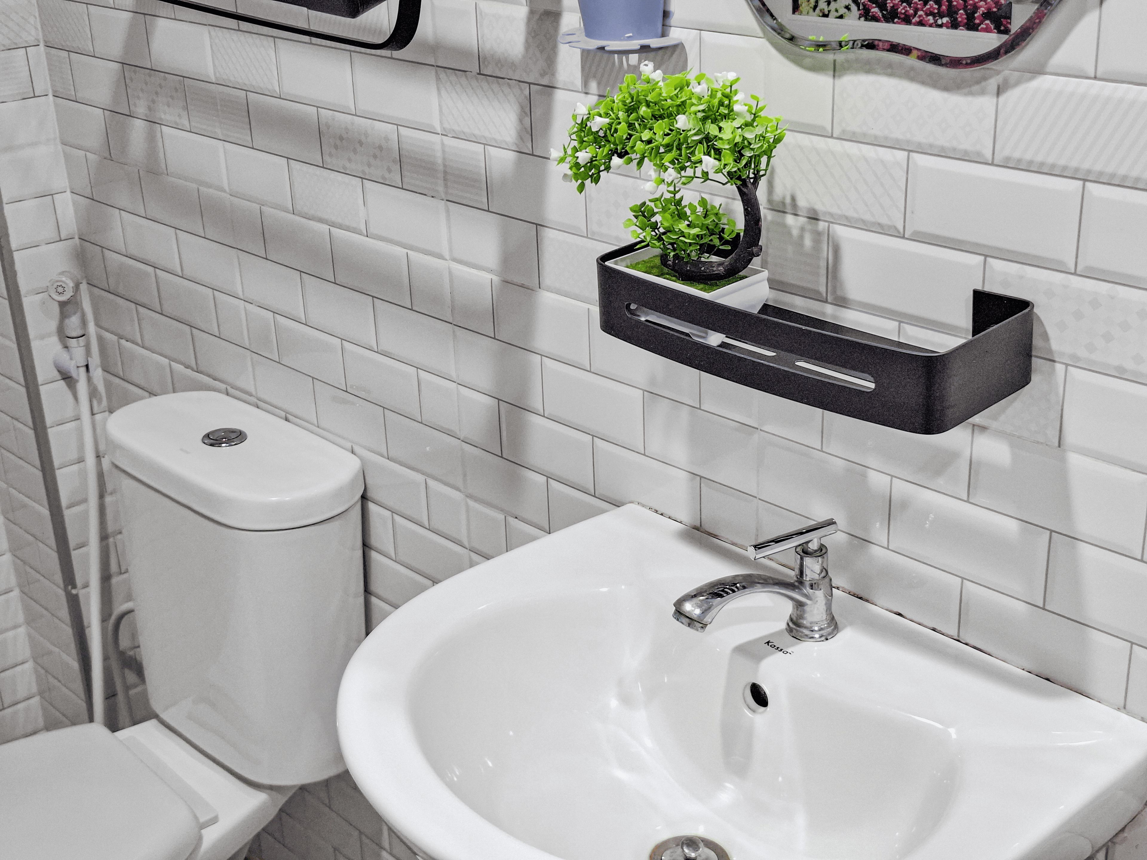 A bathroom with a toilet, sink, and a small potted plant on a shelf.