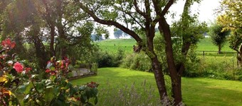 This nostalgic dijk cottage is Number One, a village 3 km behind Breskens. The semi-detached cottage is built against an old seawall and suitable for max. 4 people.