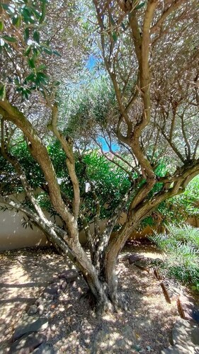 Divine Roujan Sunny Lodge. Piscine Privée, Climatisation, Wifi, Jardin, 6 Person