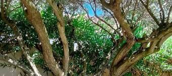 Divine Roujan Sunny Lodge. Piscine Privée, Climatisation, Wifi, Jardin, 6 Person