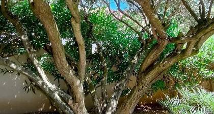 Divine Roujan Sunny Lodge. Piscine Privée, Climatisation, Wifi, Jardin, 6 Person