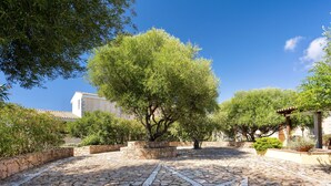 Une cour dallée de pierres, avec des arbres et un bâtiment en arrière-plan.