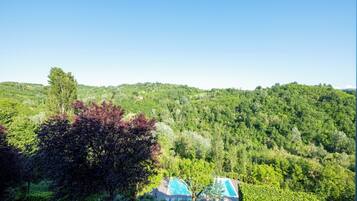 Vista de una ladera boscosa con un área de piscina y dos estructuras cubiertas.