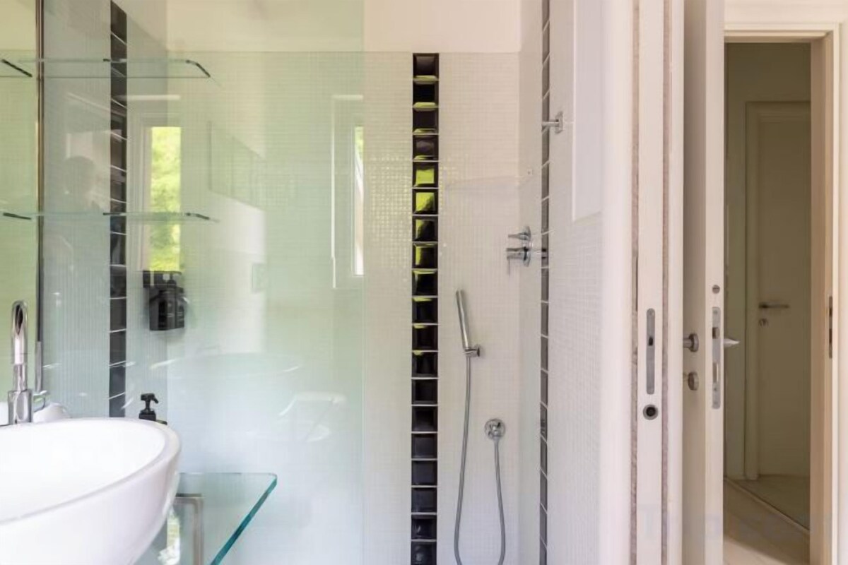 Shower, hair dryer, bidet, towels