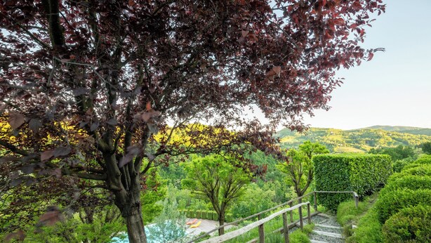 A wooden pathway leading to a pool area surrounded by lush greenery and trees. - Tenuta Moncarlino (Morsasco)