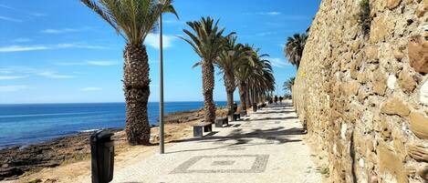 Serviettes de plage