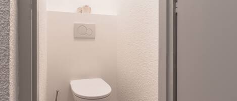 Ducha, secador de pelo, toallas y papel higiénico