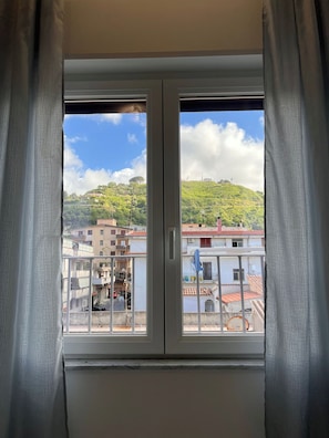 Superior Room | View from room