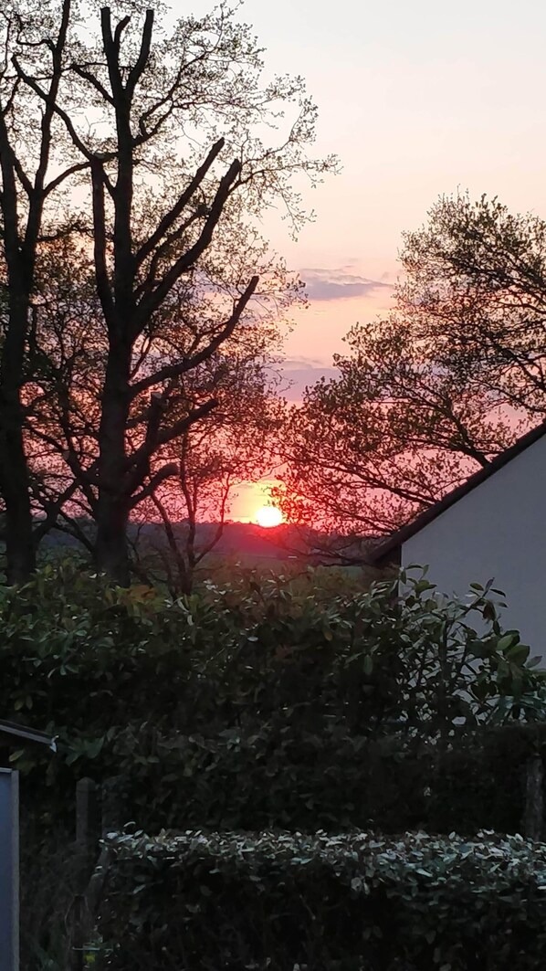 Een zonsondergang met bomen in silhouette tegen de lucht.