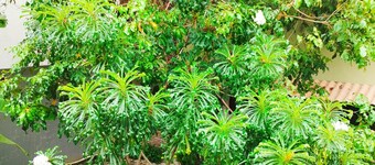 Cozy room Praia do Francês