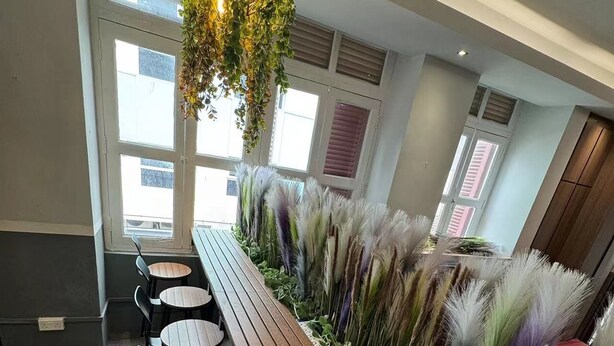 Une longue table en bois, entourée de chaises, et disposée au milieu d’une pièce agrémentée de grandes fenêtres et d’un plafond au design moderne, le tout étant complété par de grandes plantes décoratives.