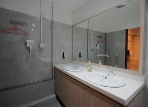 Ducha, cabezal de ducha tipo lluvia, secador de pelo, bidet
