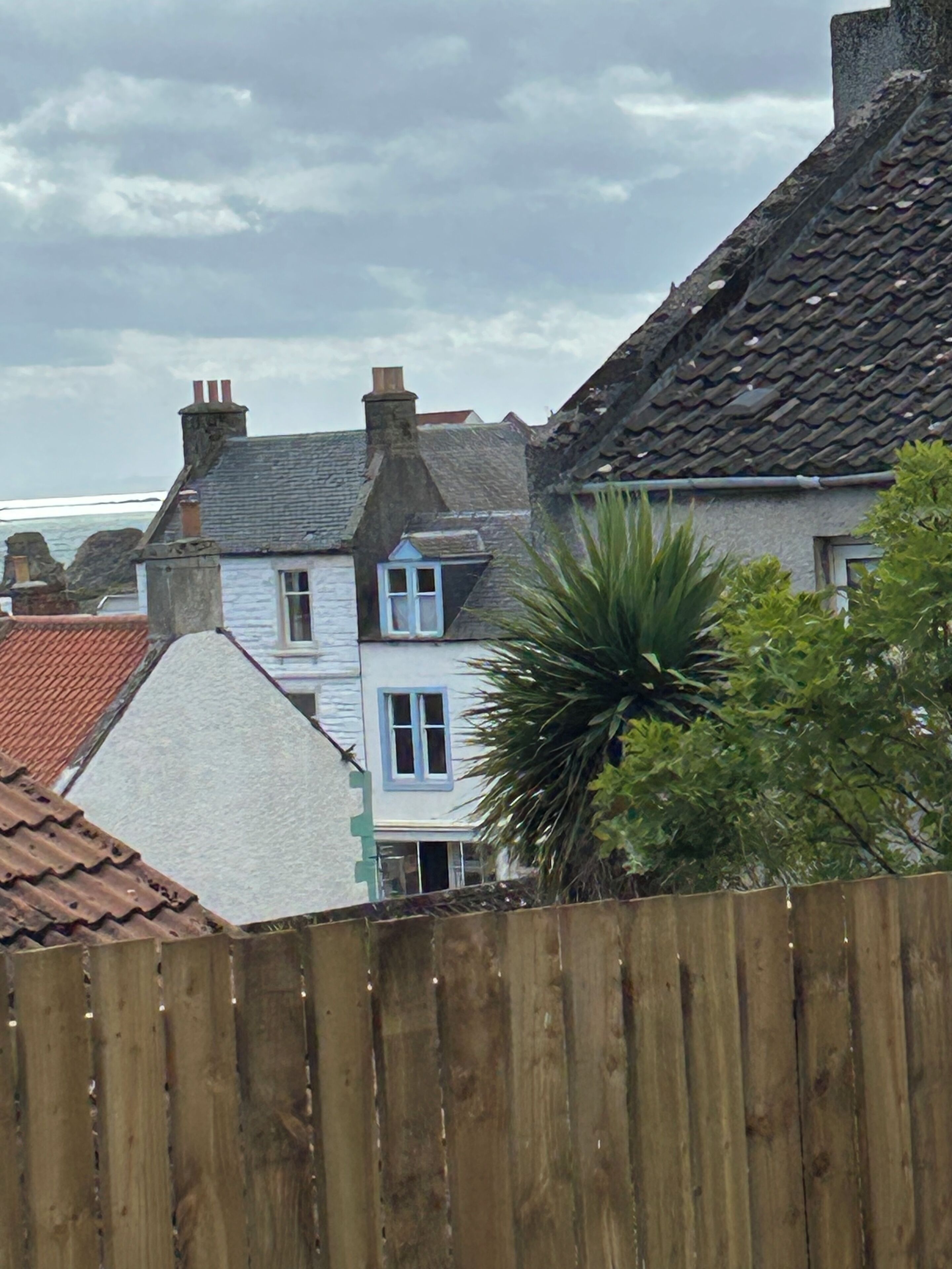 Een woonwijk met huizen met stenen en betegelde daken, een houten hek en een grote groene plant op de voorgrond.