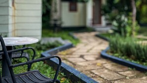 A pathway leading to a small building with a door, surrounded by greenery and a bench. - Cottage Retreat DALAT (Cam Ly - Da Lat)
