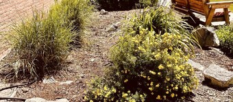 Unique100 year old Historical Building Apt#2