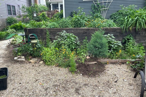 Área da propriedade