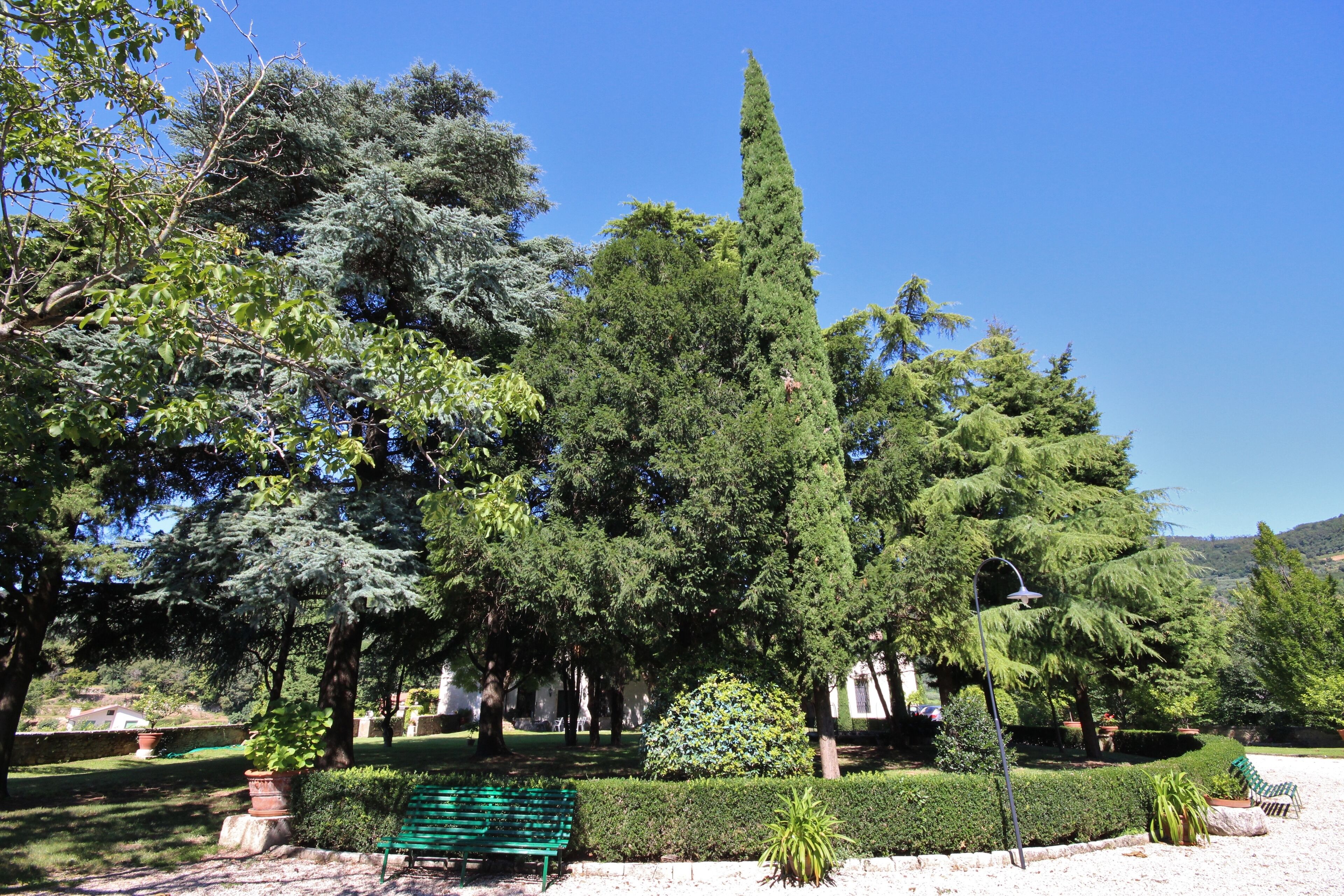 Un parque con un banco verde, varios árboles y un cielo azul despejado.