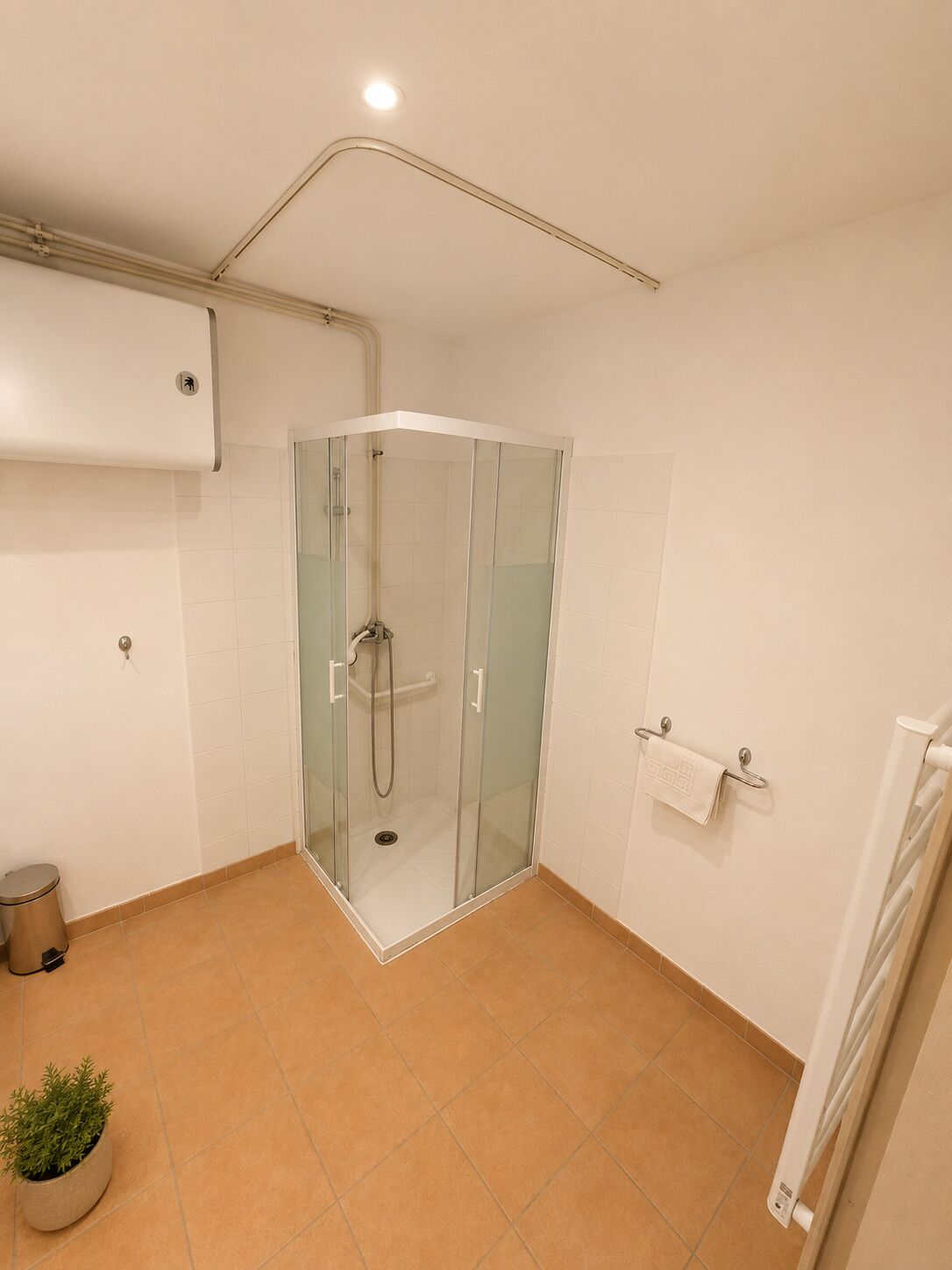A modern bathroom with a glass-enclosed shower, a toilet, a small potted plant, and a towel rack.