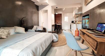 Contemporary Studio Apartment in Ebene