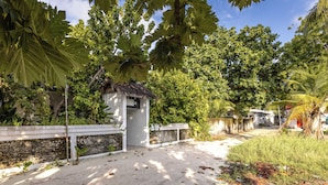 Unclassified image, 3 of 50, button - Fushi Beach Fenfushi (Fenfushi)