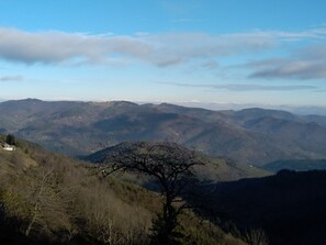 Property grounds - 2 Bedroom Private vacation home in Saint Jeure d'Andaure (Saint Jeure d'Andaure)