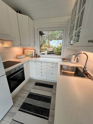 Fridge, oven, stovetop, dishwasher