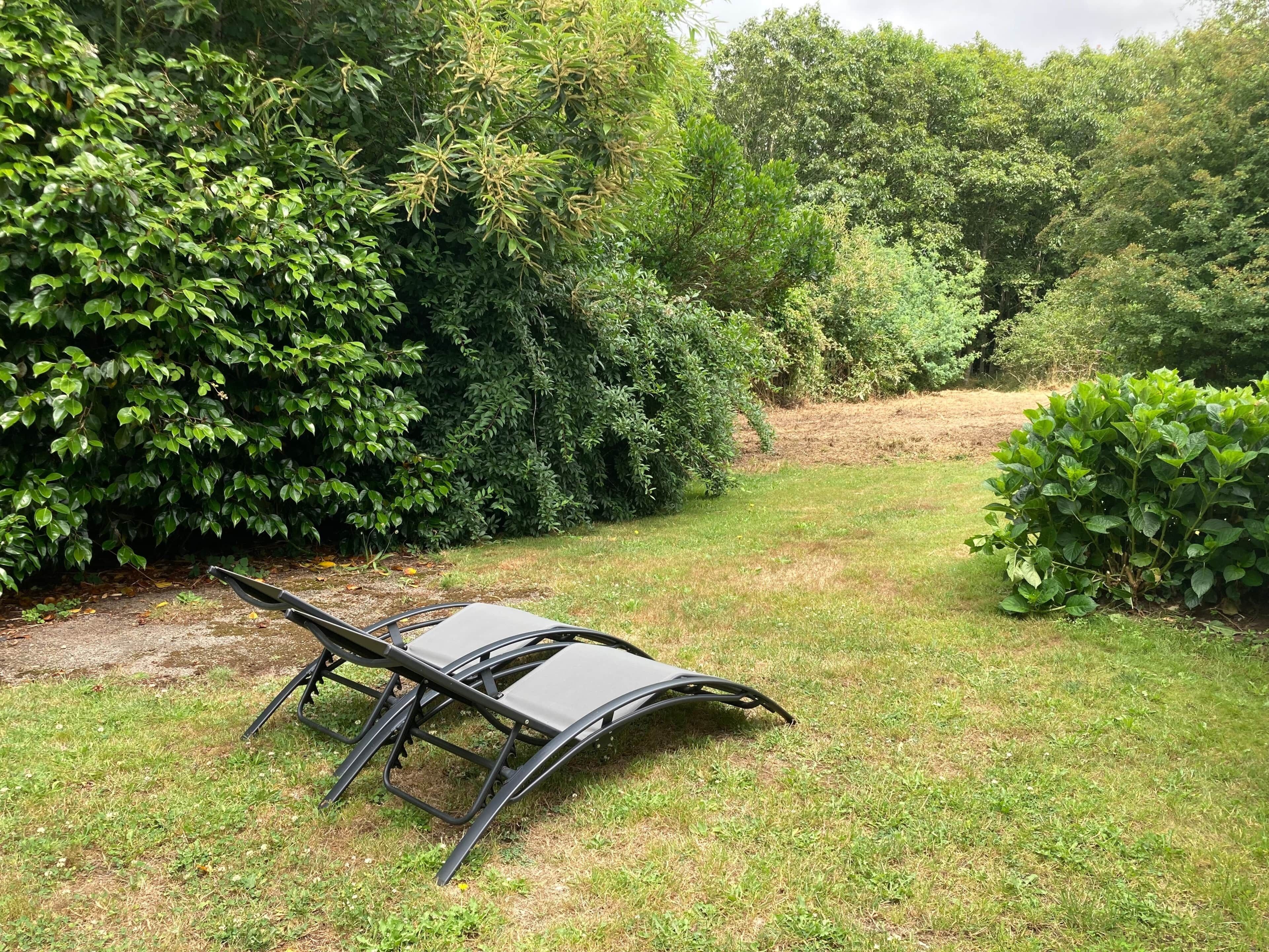 Een tuin met een metalen bank.