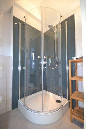 Shower, hair dryer, soap, toilet paper