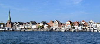 Ferien am Meer in der Wunderschönen Albatros: mit Reetdach, Sauna und Viel Platz