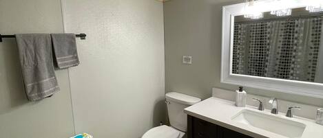 A modern bathroom with a toilet, sink, and mirror.