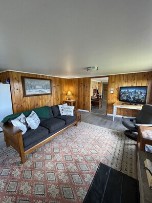TV, fireplace, books