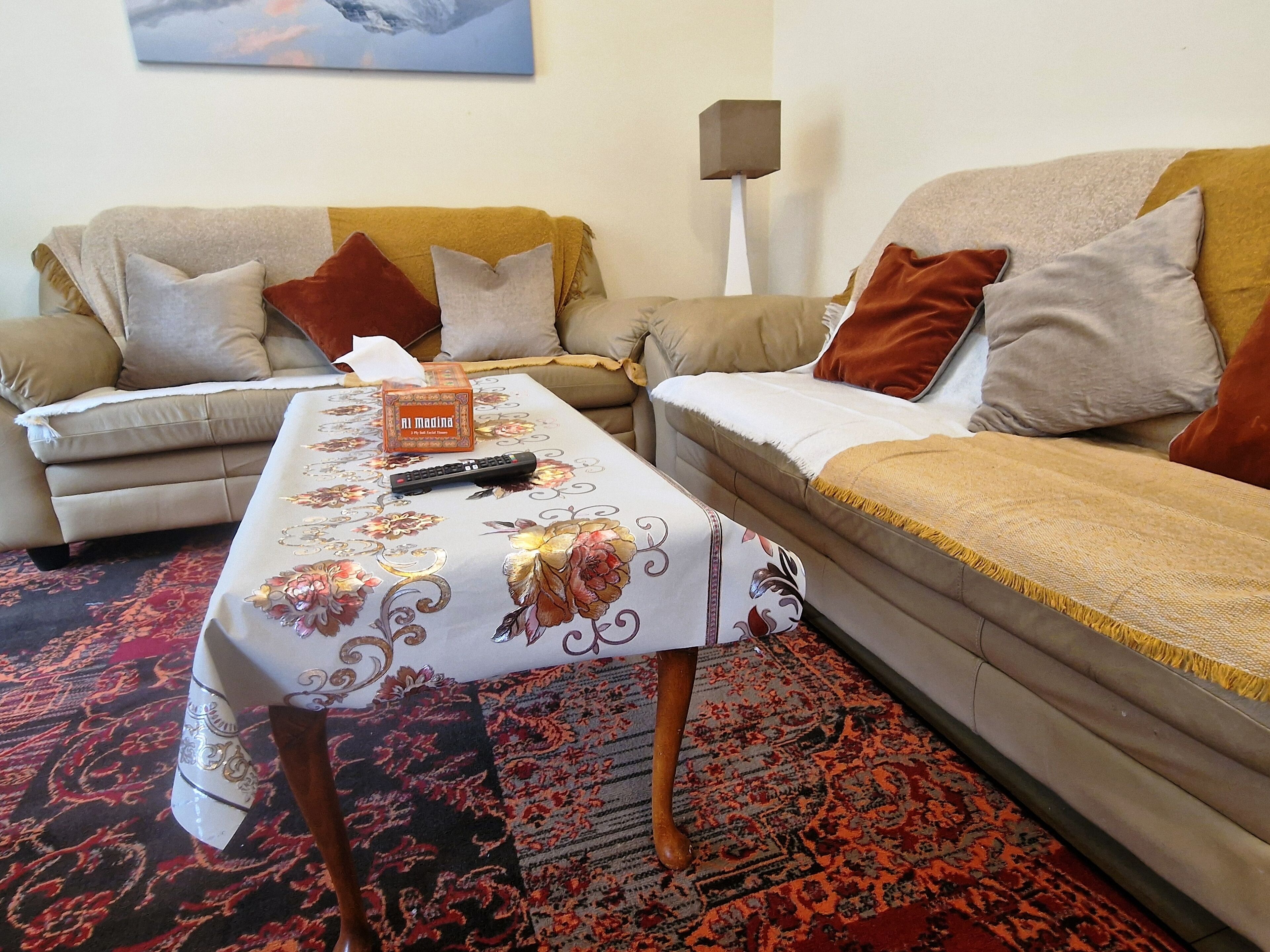 A living room with a sofa, a table with a box of tissues, a remote control, and a patterned rug.
