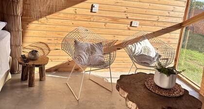 Tiny house Bamboo Style cabin!