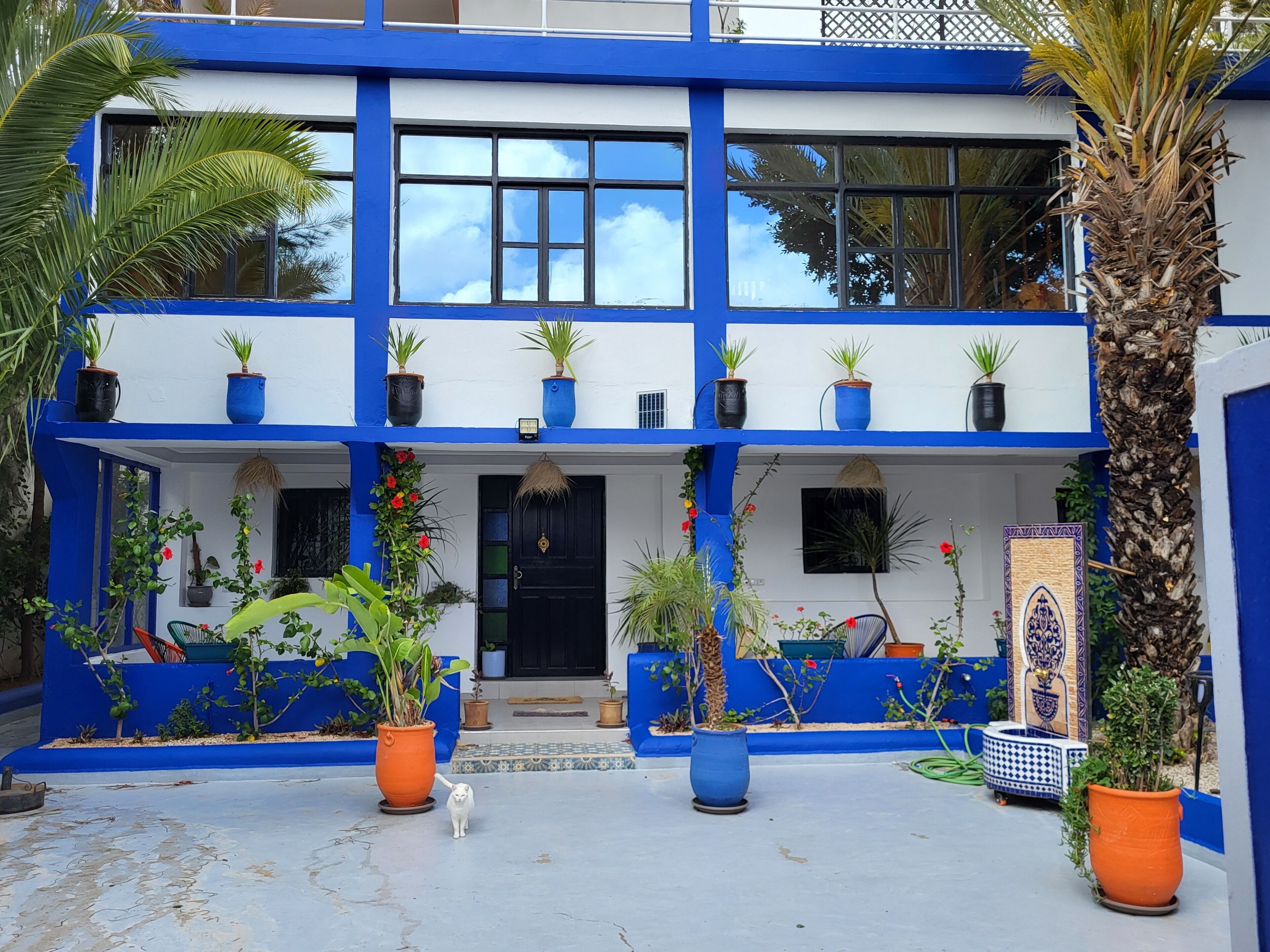 Un bâtiment à deux étages aux murs extérieurs bleus et blancs, agrémenté de nombreuses plantes en pot et d’un palmier.