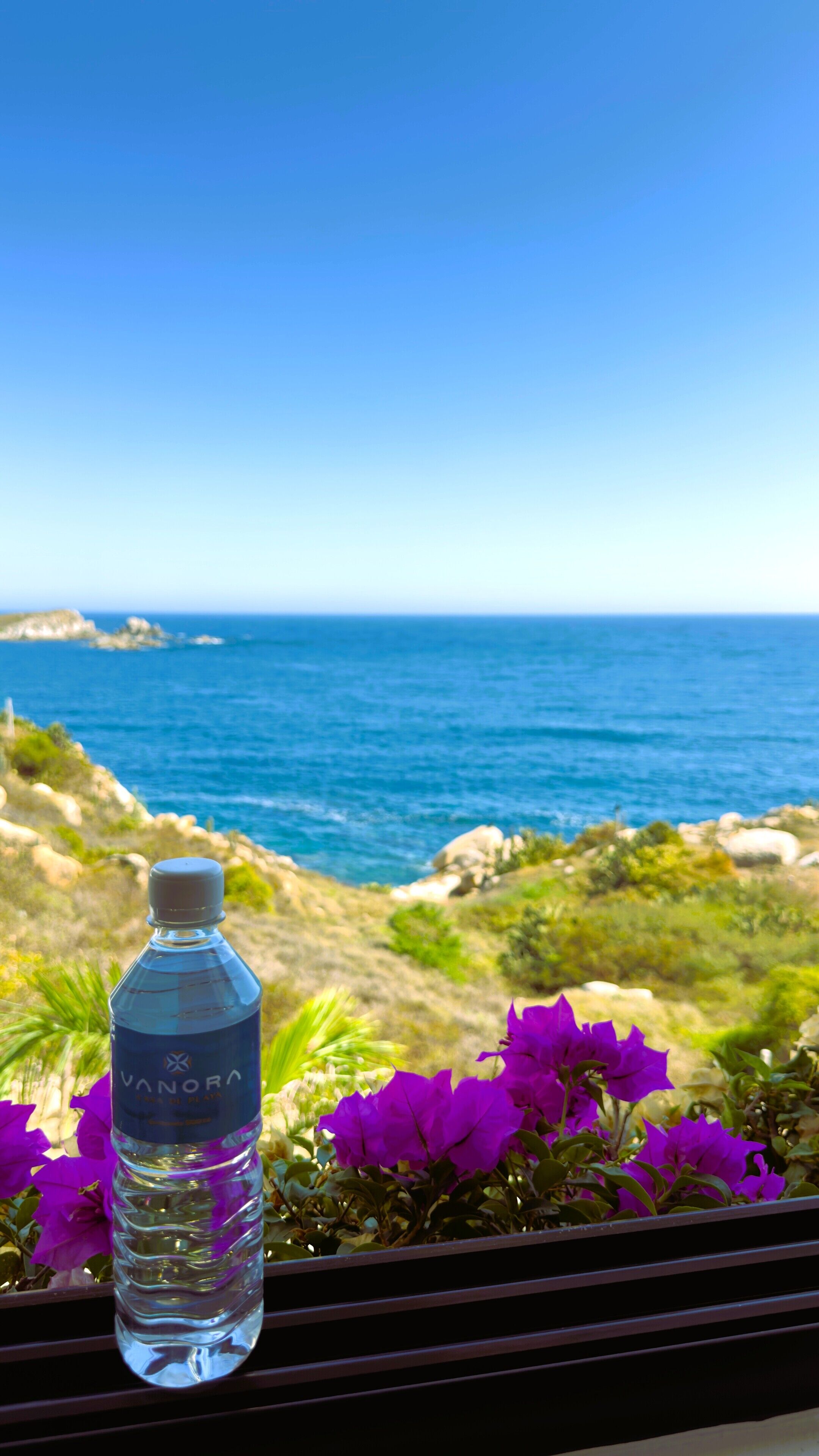 Una botella de agua Vanora en un balcón con vista a un paisaje costero con flores púrpuras y el mar.