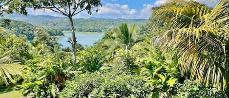 Suite Confort, vue sur le lac, dans la tour | Terrasse/patio