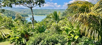 The Fruit Tree Garden Bromeliad Suite