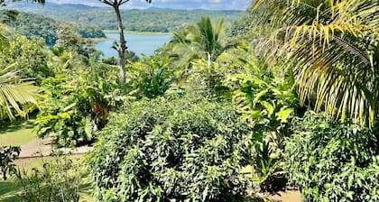 The Fruit Tree Garden Bromeliad Suite