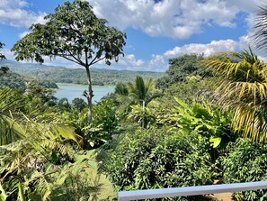 Exterior - The Fruit Tree Garden Bromeliad Suite (Arenal)