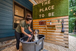 Une personne est en train de laver un chien dans une baignoire placée à l’extérieur d’un bâtiment, sur lequel on peut lire l’inscription : « L’endroit idéal ».