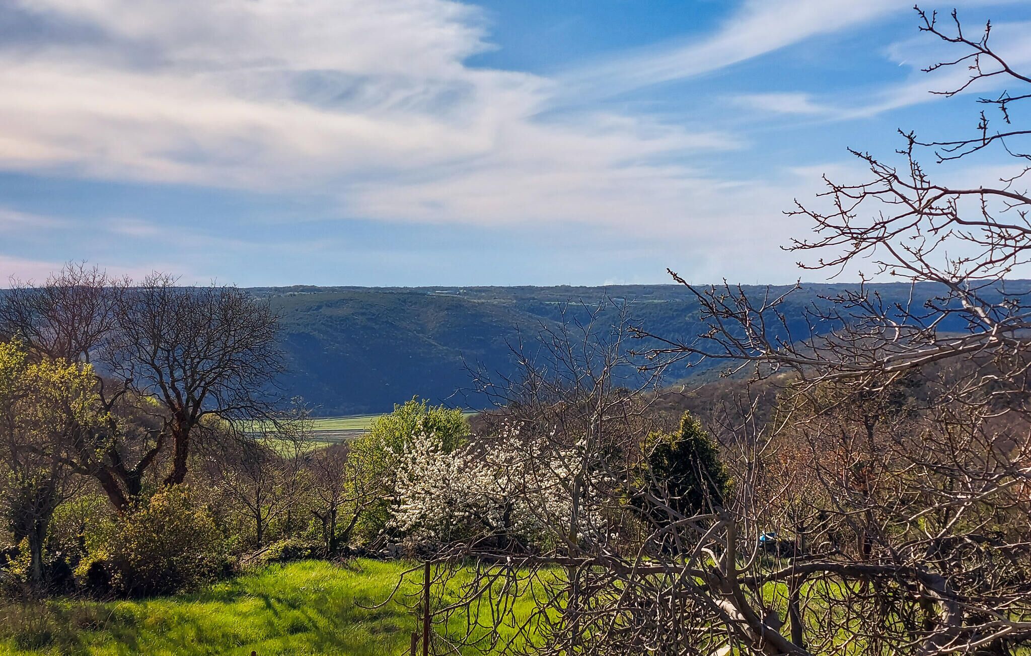 Un paysage varié, avec différents types d’arbres, dont certains sont en fleurs, et une vue lointaine de collines sous un ciel dégagé.