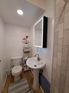 Shower, hair dryer, towels, soap - Cozy Haven 1bed 1bath (Clearwater)