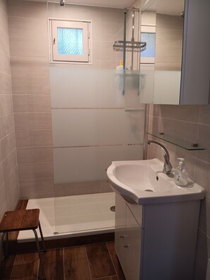 Ducha, secador de pelo, jabón y papel higiénico
