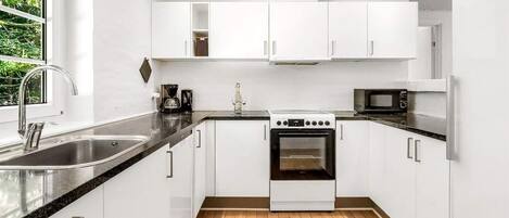 Fridge, oven, stovetop, dishwasher