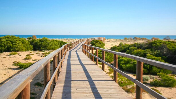 A wooden boardwalk leading to a beach with sandy dunes and greenery. - Nice apartment in Santa Pola with WiFi (Santa Pola)
