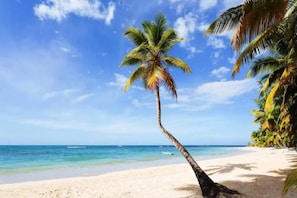 On the beach, beach towels - Spacious seaside apartment in Las Terrenas. (Las Terrenas)